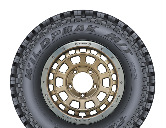 M/T01